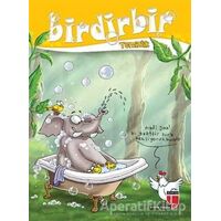 Birdirbir - Temizlik - Kolektif - EDAM