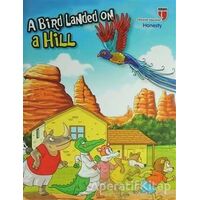 A Bird Landed on a Hill - Honesty - Neriman Karatekin - EDAM