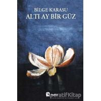 Altı Ay Bir Güz - Bilge Karasu - Metis Yayınları