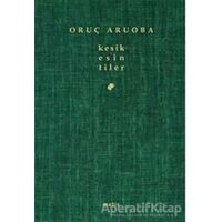 Kesik Esin/ tiler - Oruç Aruoba - Metis Yayınları