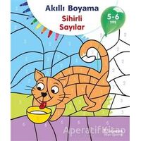 Akıllı Boyama - Sihirli Sayılar - Kolektif - Uçanbalık Yayıncılık