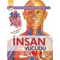 İnsan Vücudu - Kolektif - Beyaz Balina Yayınları