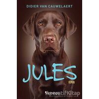 Jules - Didier von Cauwelaert - Domingo Yayınevi
