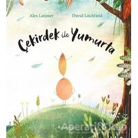 Çekirdek İle Yumurta - David Litchfield - Domingo Yayınevi