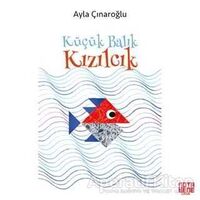 Küçük Balık Kızılcık - Ayla Çınaroğlu - Nota Bene Yayınları