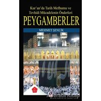 Peygamberler 6. Cilt - Mehmet Şenlik - Dua Yayınları