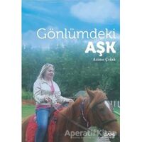 Gönlümdeki Aşk - Azime Çolak - Dahi Yayıncılık