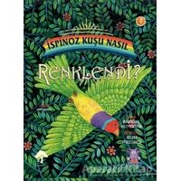 İspinoz Kuşu Nasıl Renklendi? - Annemarie Riley Guertin - Nobel Çocuk