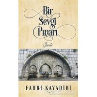 Bir Sevgi Pınarı - Fahri Kayadibi - Cinius Yayınları