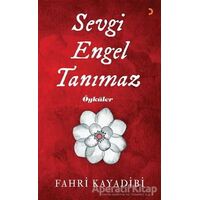 Sevgi Engel Tanımaz - Fahri Kayadibi - Cinius Yayınları