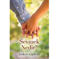 Sevmek Nedir? - Şükrü Çiğdem - Cinius Yayınları