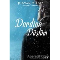 Derdine Düştüm - Rıdvan Yıldız - İkinci Adam Yayınları
