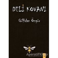 Deli Kovanı - Gülfidan Özgür - İkinci Adam Yayınları
