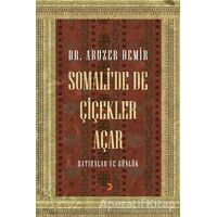 Somali’de de Çiçekler Açar - Abuzer Demir - Cinius Yayınları