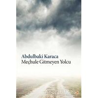Meçhule Gitmeyen Yolcu - Abdulbaki Karaca - Cinius Yayınları