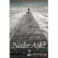 Nedir Aşk? - Murat Çetin - Cinius Yayınları