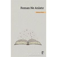 Roman Ne Anlatır - Mehmet Narlı - İz Yayıncılık