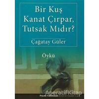 Bir Kuş Kanat Çırpar, Tutsak Mıdır? - Çağatay Güler - Palme Yayıncılık