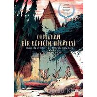 Olmayan Bir Köpeğin Hikayesi - Anton Van Hertbruggen - Final Kültür Sanat Yayınları