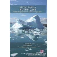 Küresel Bakışla Kutup Çağı - Kolektif - Efil Yayınevi