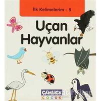 İlk Kelimelerim 5: Uçan Hayvanlar - Bilal Gezer - Çamlıca Çocuk Yayınları