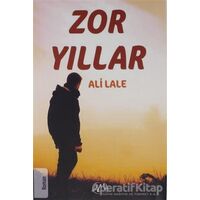 Zor Yıllar - Ali Lale - Nida Yayınları