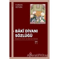 Baki Divanı Sözlüğü (2 Cilt Takım) - Furkan Öztürk - DBY Yayınları