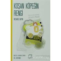 Koşan Köpeğin Rengi - Richard Gwyn - Dedalus Kitap