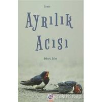 Ayrılık Acısı - Mehmet Aslan - Dua Yayınları