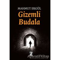 Gizemli Budala - Mahmut Ergül - İştirak Yayınevi