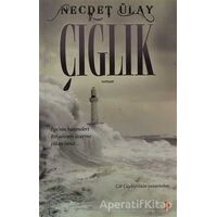 Çığlık - Necdet Ülay - Cinius Yayınları