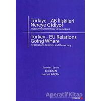 Türkiye - AB İlişkileri Nereye Gidiyor? - Kolektif - Phoenix Yayınevi