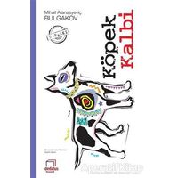 Köpek Kalbi - Mihail Afanasyeviç Bulgakov - Dedalus Kitap