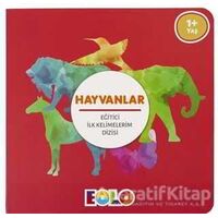 Hayvanlar - Eğitici İlk Kelimelerim Dizisi - Kolektif - Eolo Yayıncılık