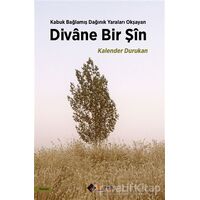 Divane Bir Şin - Kalender Durukan - Aryen Yayınları