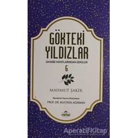 Gökteki Yıldızlar - 6 - Mahmut Şakir - Ravza Yayınları