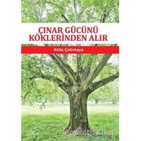 Çınar Gücünü Köklerinden Alır - Atilla Çetinkaya - Cinius Yayınları