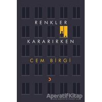 Renkler Kararırken - Cem Birgi - Cinius Yayınları