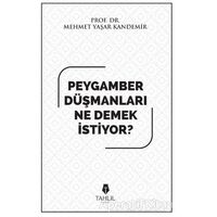 Peygamber Düşmanları Ne Demek İstiyor? - Mehmet Yaşar Kandemir - Tahlil Yayınları
