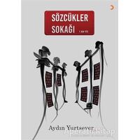 Sözcükler Sokağı - Aydın Yurtsever - Cinius Yayınları