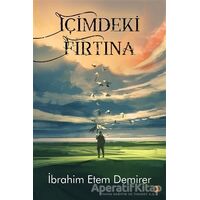 İçimdeki Fırtına - İbrahim Etem Demirer - Cinius Yayınları