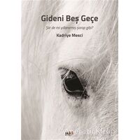 Gideni Beş Geçe - Kadriye Mesci - Tilki Kitap