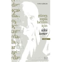 Güneş Topla Benim İçin - Ülkü Tamer - Islık Yayınları
