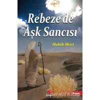 Rebeze’de Aşk Sancısı - Habib Mert - Kalender Yayınevi