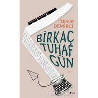 Bir Kaç Tuhaf Gün - İlknur Demirci - Şule Yayınları