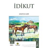 İdikut - Ahmetcan Aşiri - Bengü Yayınları