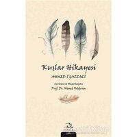Kuşlar Hikayesi - Ahmed-i Gazzali - Pinhan Yayıncılık