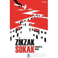 Zikzak Sokak - Zekeriyya Bican - Göl Yayıncılık