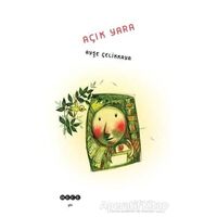 Açık Yara - Ayşe Çelikkaya - Hece Yayınları
