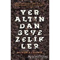 Yeraltından Gevezelikler - Mairtin O Cadhain - Aylak Adam Kültür Sanat Yayıncılık